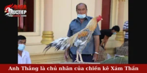 Anh Thắng là chủ nhân của chiến kê Xám Thần