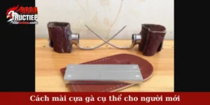 Cách mài cựa gà cụ thể cho người mới