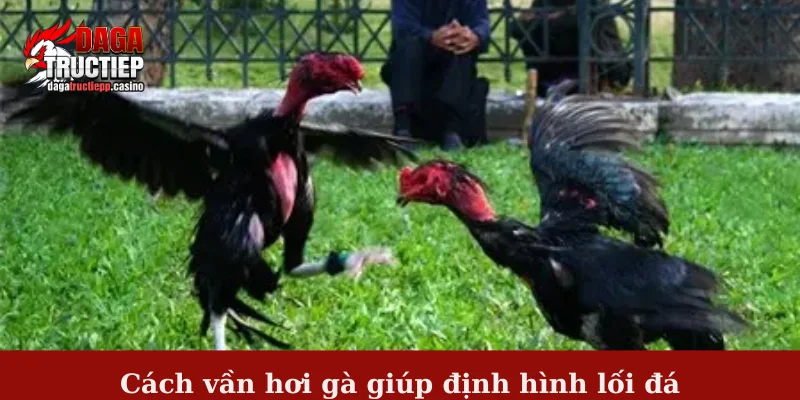 Cách vần hơi gà giúp định hình lối đá