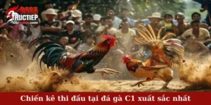 Chiến kê thi đấu tại đá gà C1 xuất sắc nhất