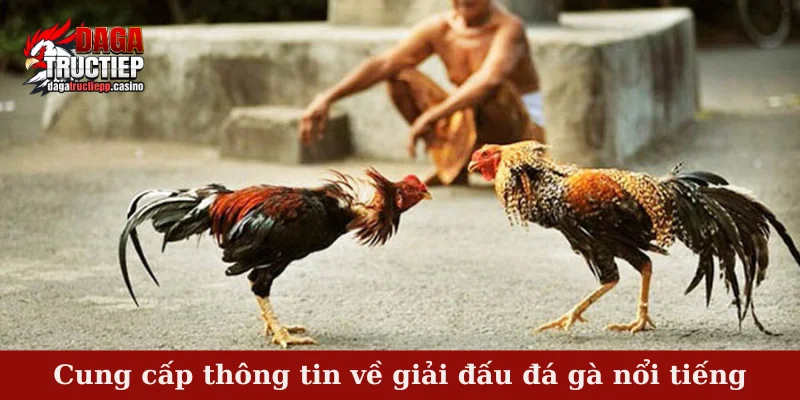Cung cấp thông tin về giải đấu đá gà nổi tiếng