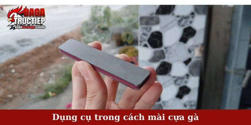 Dụng cụ trong cách mài cựa gà
