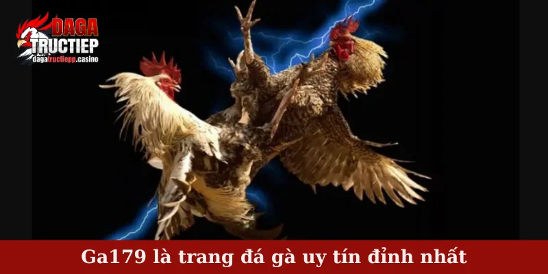 Ga179 là trang đá gà uy tín đỉnh nhất