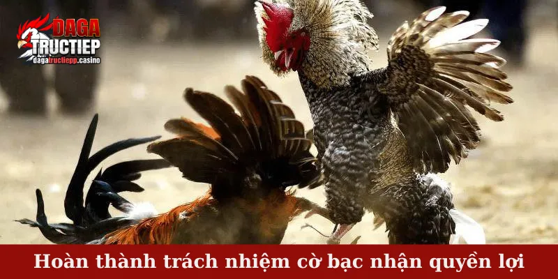 Hoàn thành trách nhiệm cờ bạc nhận quyền lợi