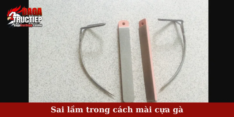 Sai lầm trong cách mài cựa gà