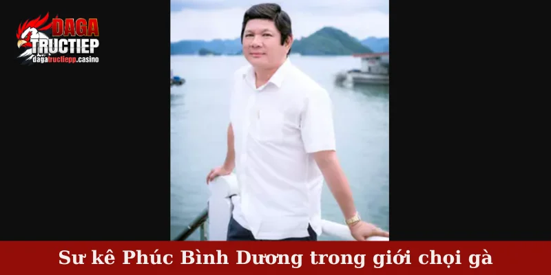 Sư kê Phúc Bình Dương trong giới chọi gà