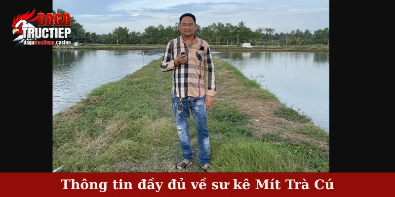 Thông tin đầy đủ về sư kê Mít Trà Cú