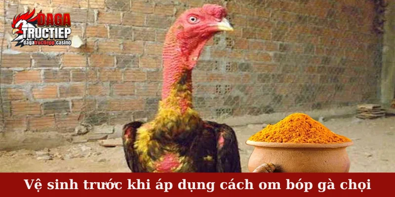 Vệ sinh trước khi áp dụng cách om bóp gà chọi