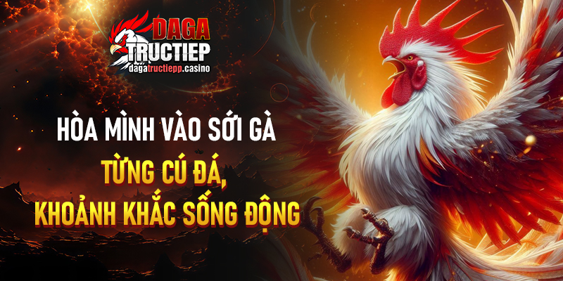 Có thể xem lại trận đã phát sóng không?