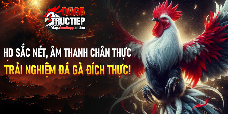 Đá Gà Trực Tiếp Là Gì?