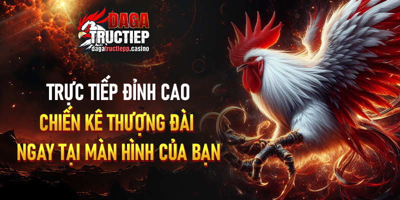 Đá gà trực tiếp - sống động từng phút giây