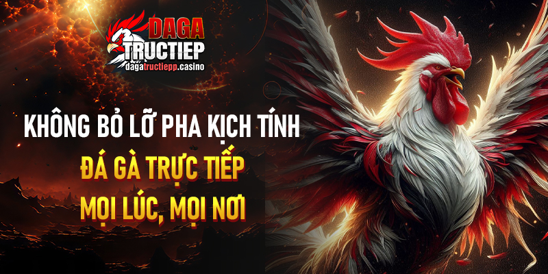 Câu Hỏi Thường Gặp Khi Xem Đá Gà Trực Tiếp