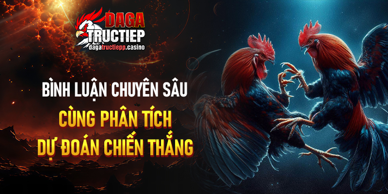 Xem đá gà trực tiếp cần lưu ý điều gì?