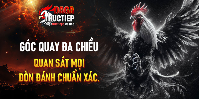 Các Hình Thức Đá Gà Phổ Biến Trên Nền Tảng dagatructiepp.casino
