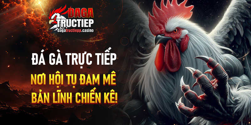 Các Yếu Tố Tạo Nên Một Trận Đá Gà Trực Tiếp Hấp Dẫn